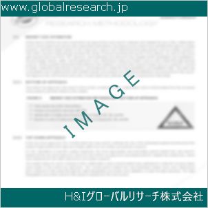 グローバルリサーチ調査資料のイメージ